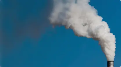 Экологическая безопасность